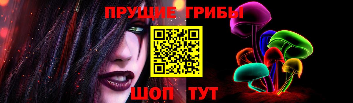 Галлюциногенные грибы MAGIC MUSHROOMS  Псилоцибиновые грибы мицелий  Вход с VPN  Отрадный 